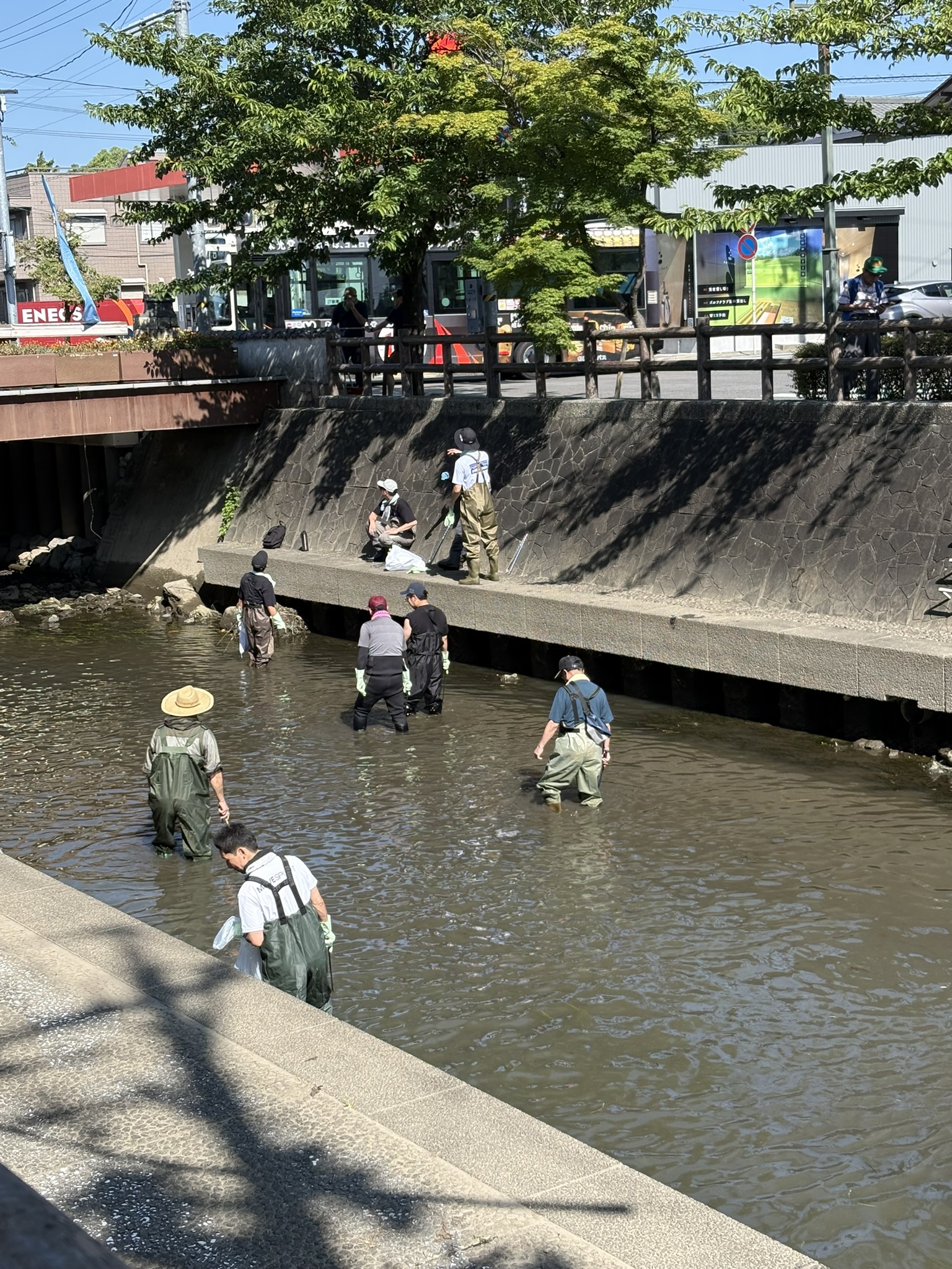 水門川クリーン作戦に参加！～地域の皆さんと一緒に、水門川をきれいに～